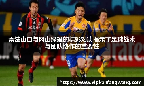雷法山口与冈山绿雉的精彩对决揭示了足球战术与团队协作的重要性